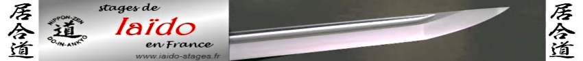 ban_iaido_stages.png